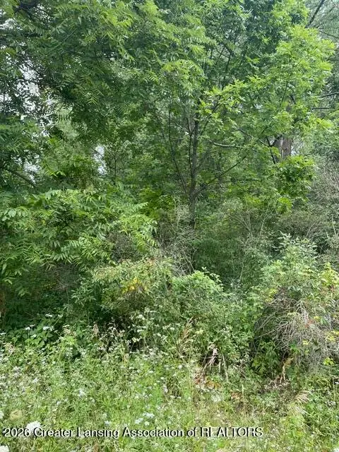V/l Nottingham Drive, Laingsburg, MI 48848 - #3