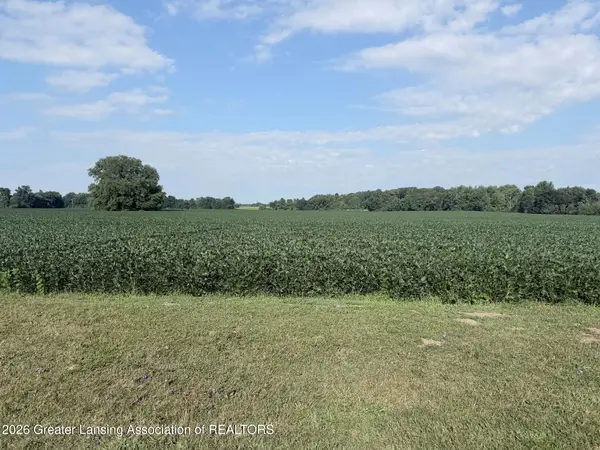 Parcel A Holt Highway, Dimondale, MI 48821