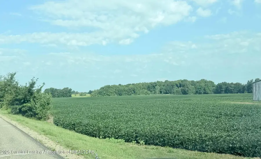Parcel A Holt Highway, Dimondale, MI 48821 - #3