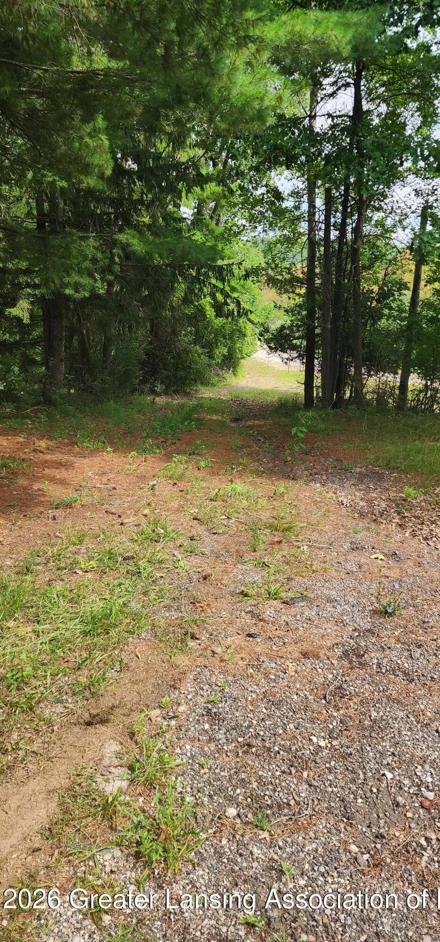 6980 Bowerman Road, Horton, MI 49246 - #3