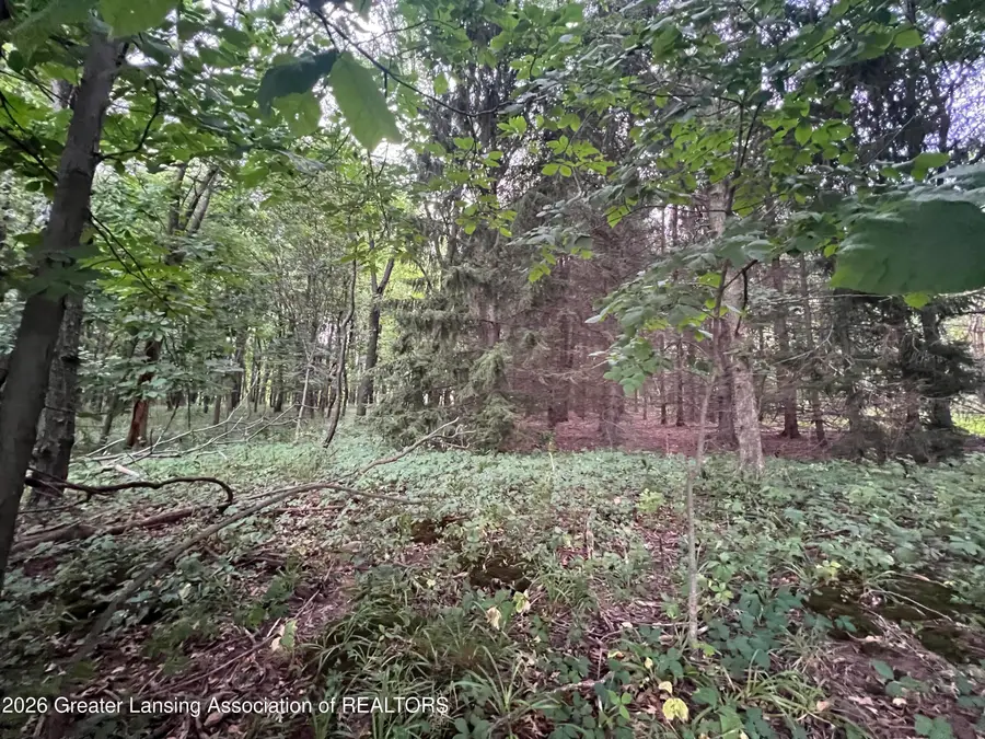 0 M-50, Eaton Rapids, MI 48827 - #2