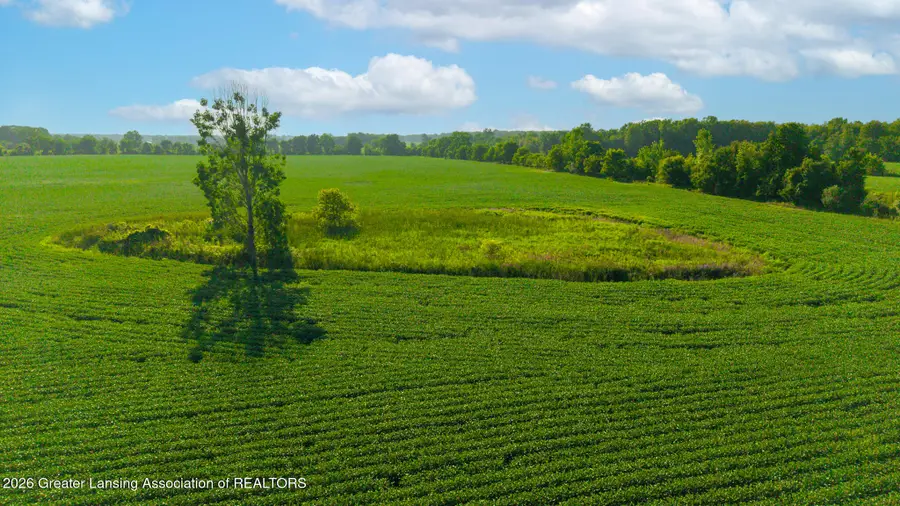 1103 Germany Road, Williamston, MI 48895 - #3