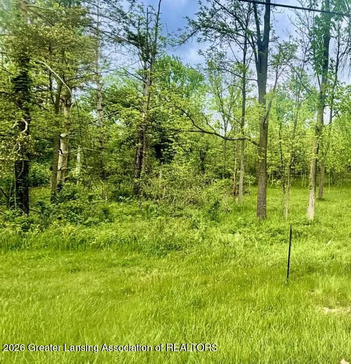 Lot C  0 W Willow Highway, Lansing, MI 48917 - #3