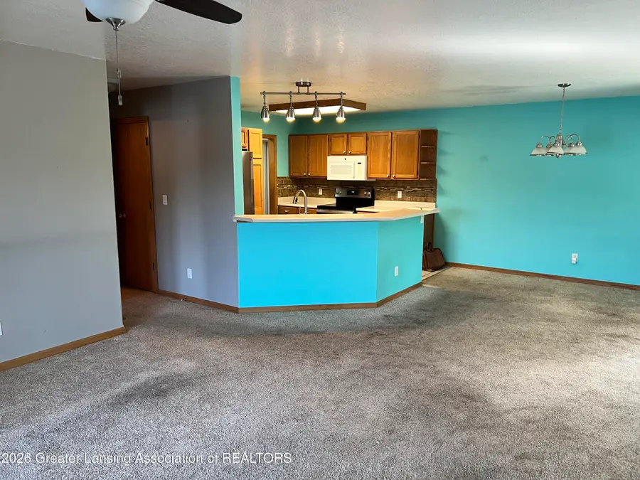 303 Wildwood Drive, Cadillac, MI 49601 - #3