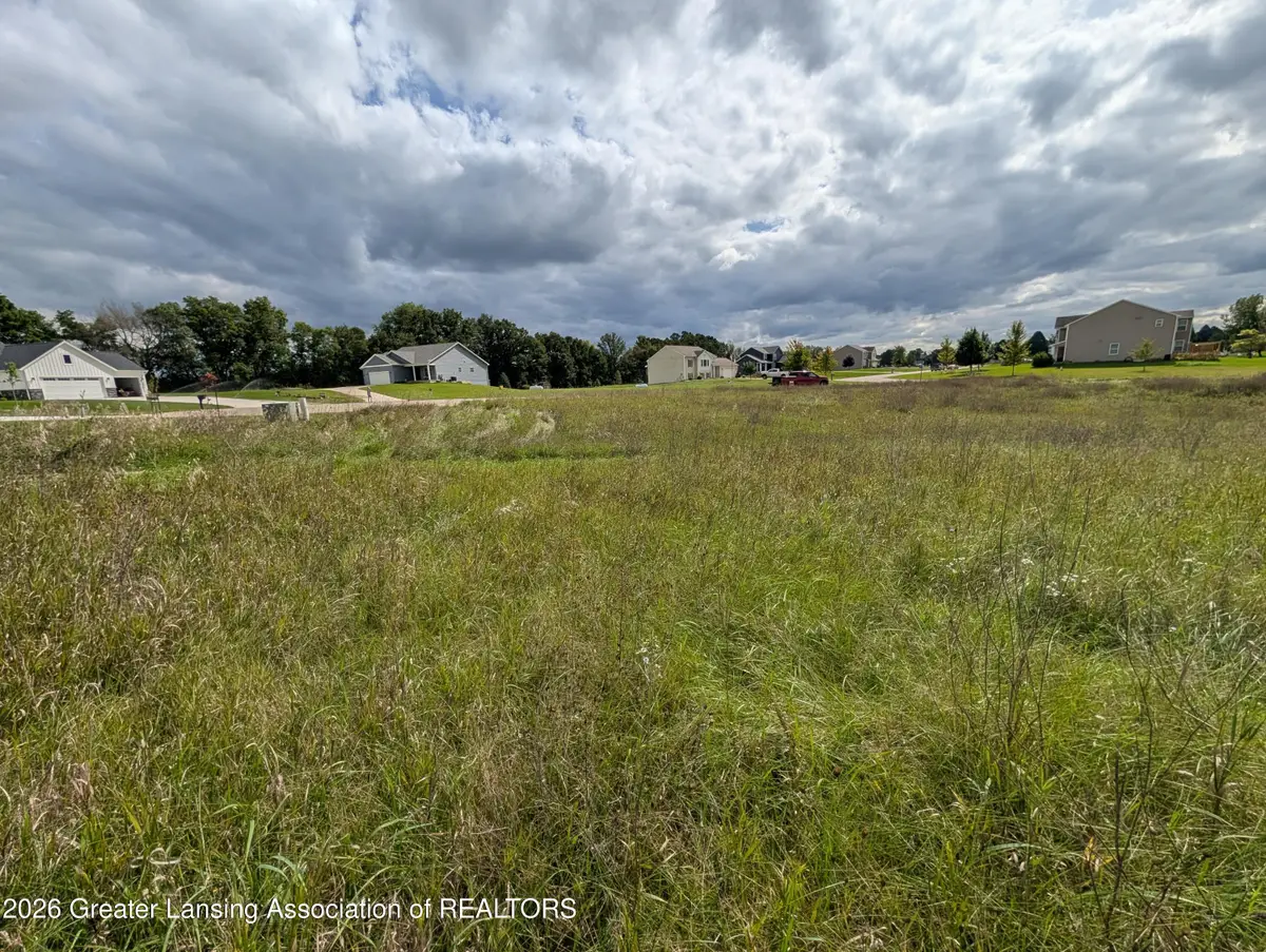 0 Mountainmint Circle, Portland, MI 48875 - #1