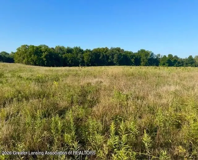 12290 S Wacousta Road, Eagle, MI 48822 - #3