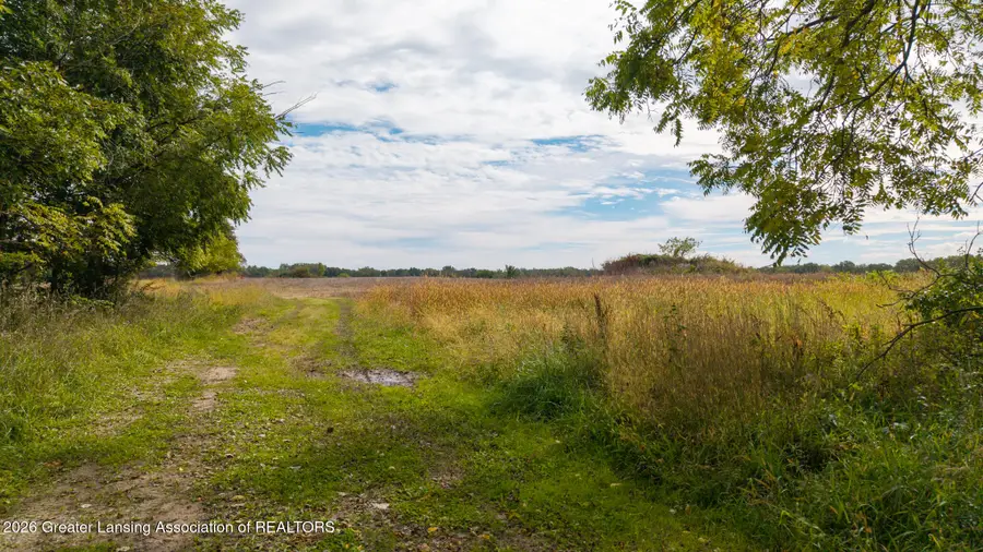 Vl Waverly Road, Dimondale, MI 48821 - #3