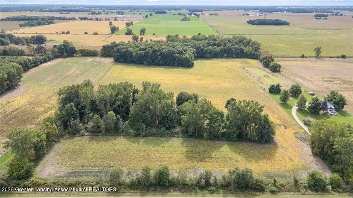 V/l Huff Road, Elsie, MI 48831 - #1