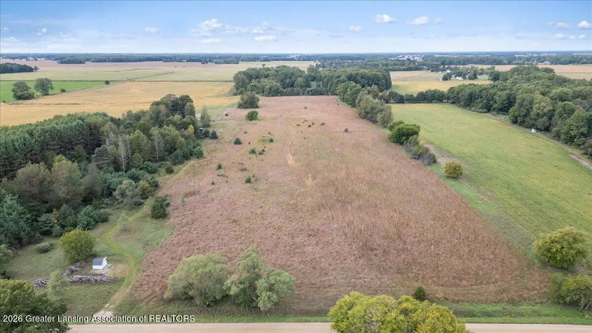 V/l Vincent Road, Elsie, MI 48831 - #1