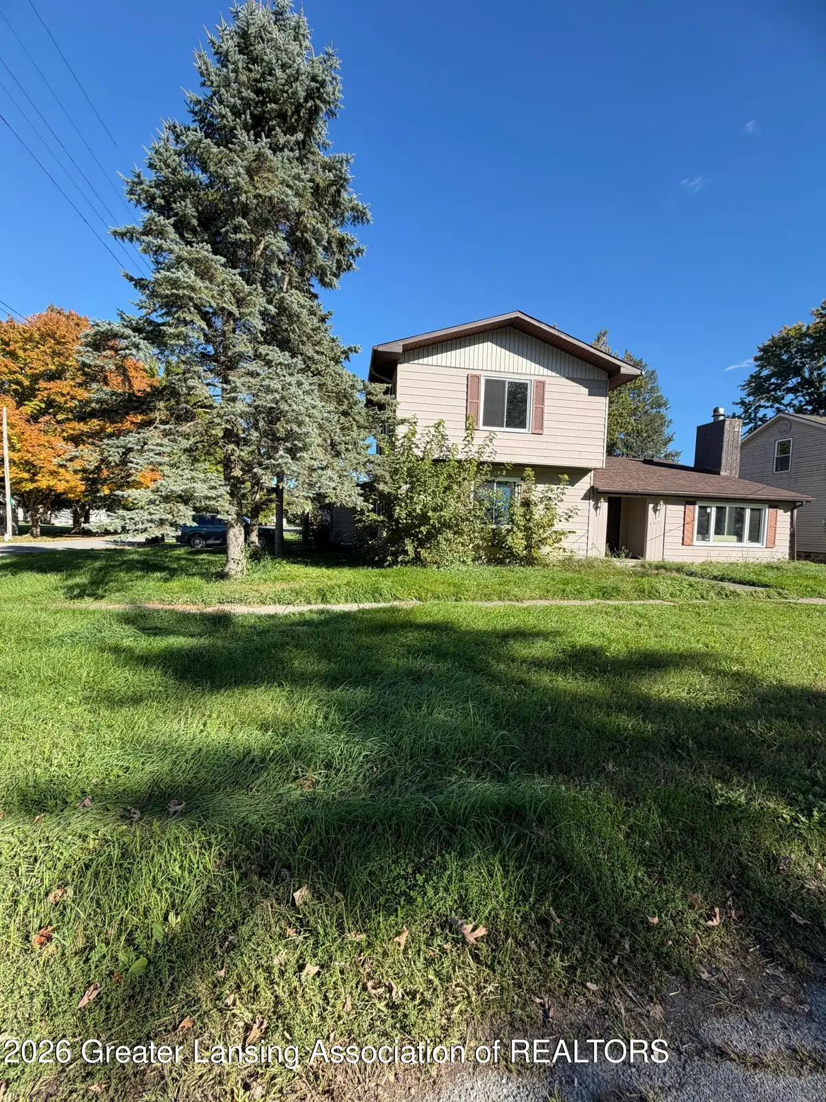 132 N Franklin Street, Maple Rapids, MI 48853 - #1