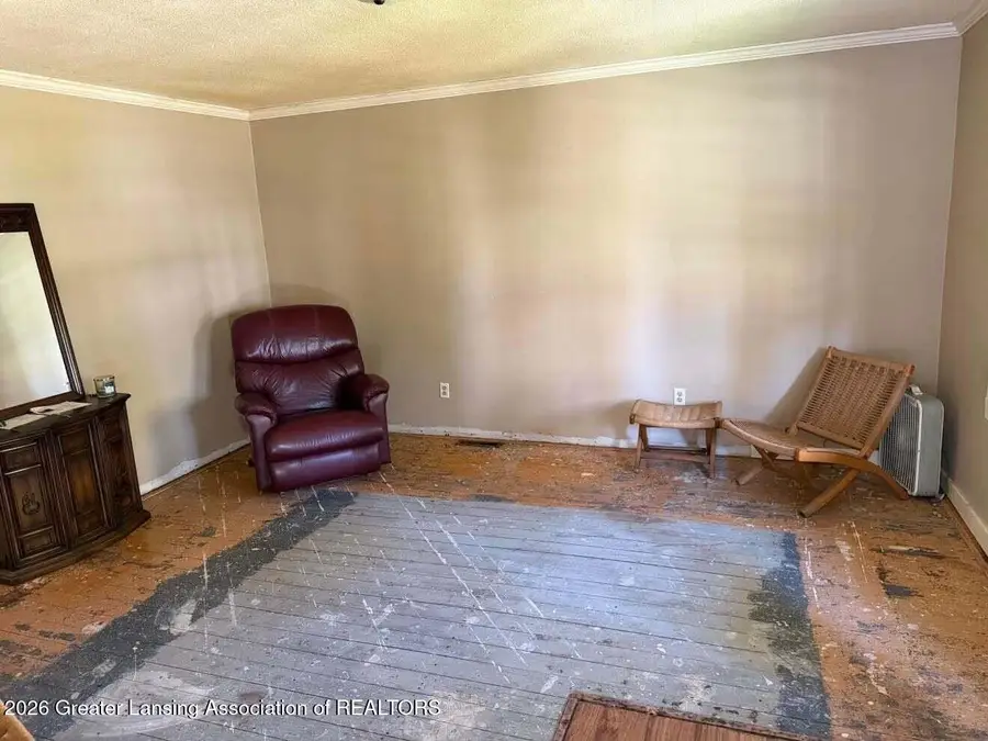 215 W Quincy Street, Dimondale, MI 48821 - #3