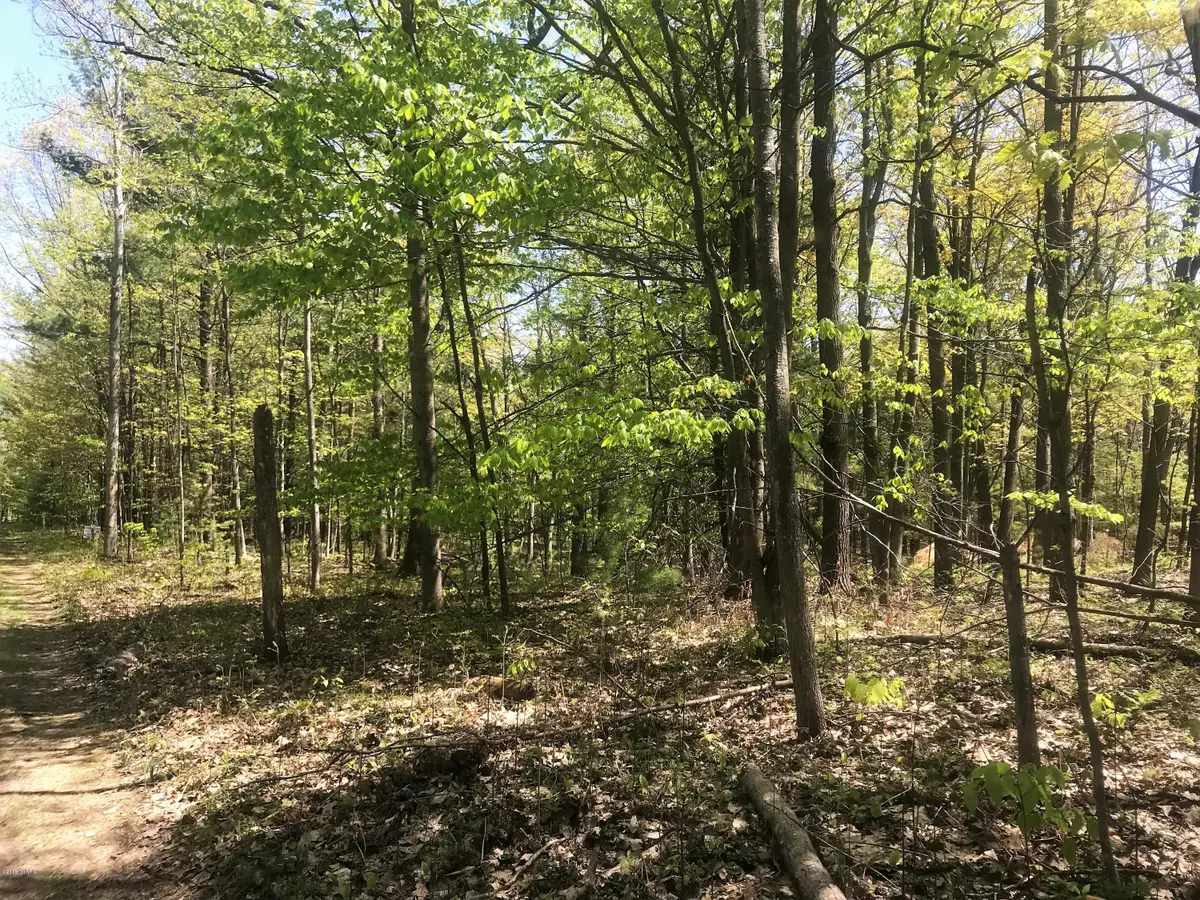 W Basswood Bl 41 Lot 13&14 Street, Twentynine Palms, MI 49431 - #1