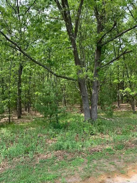 Lot 9 Old Channel Trail, Montague, MI 49437 - #1