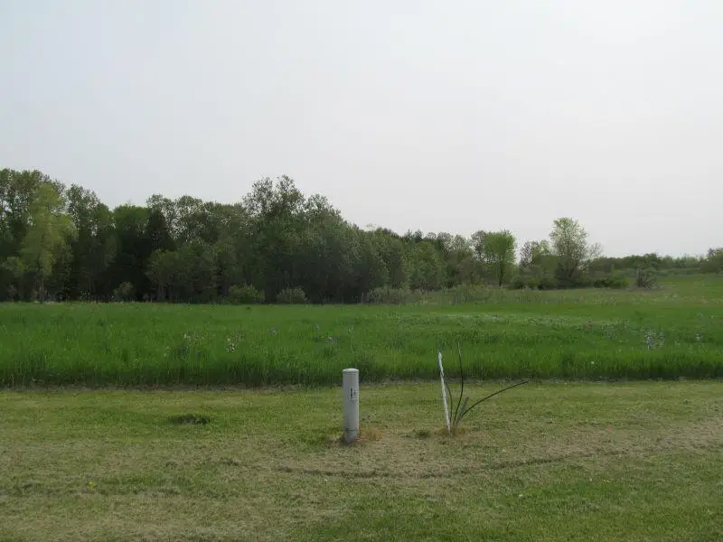 Lot #21 Hemlock Street, McBain, MI 49657 - #3