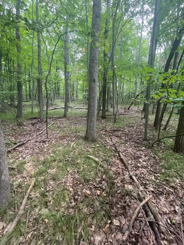 11270 Apache Wells Court, Canadian Lakes, MI 49346 - #2