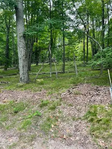 11270 Apache Wells Court, Canadian Lakes, MI 49346 - #3