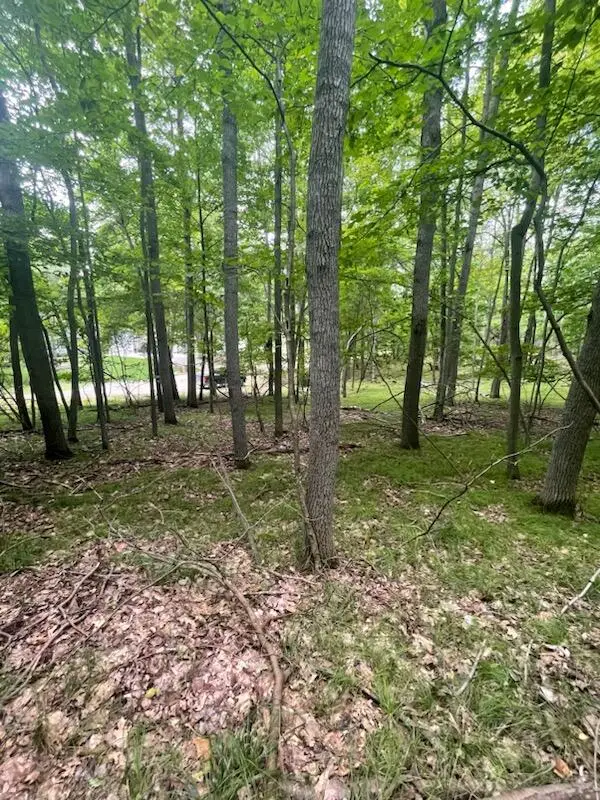 11280 Apache Wells Court, Canadian Lakes, MI 49346 - #1