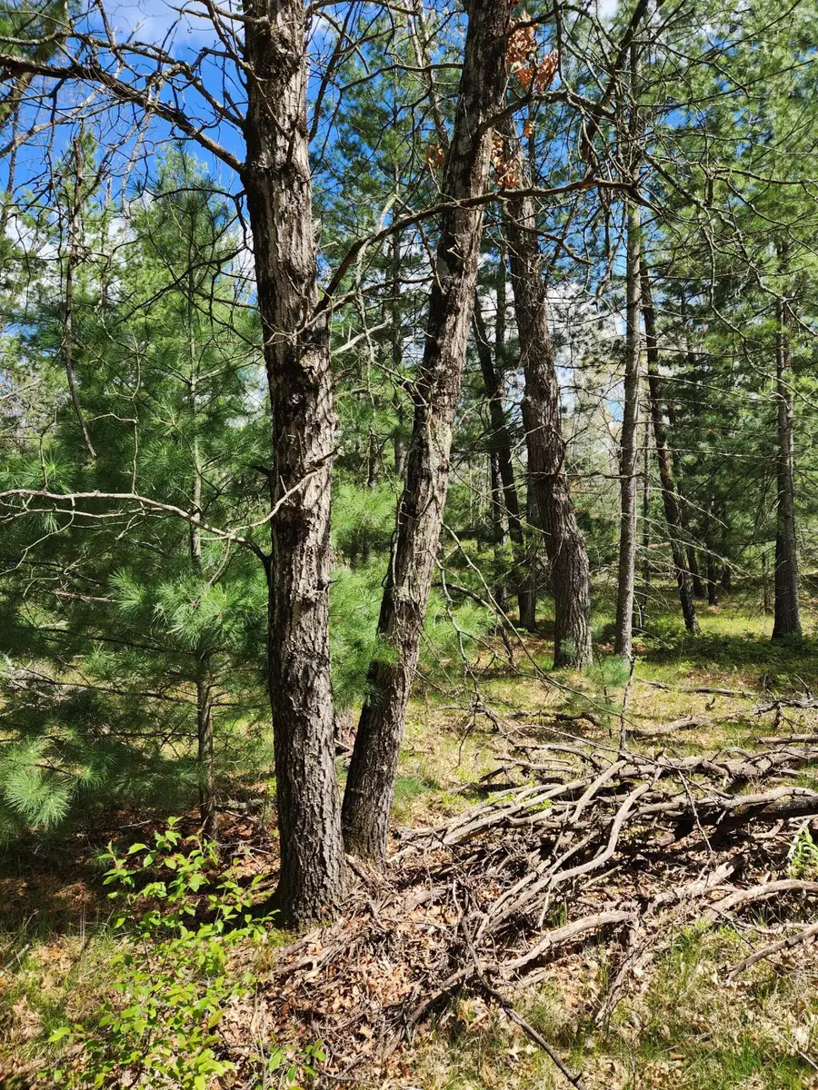 8950 S Chatman Street, Idlewild, MI 49642 - Image #3