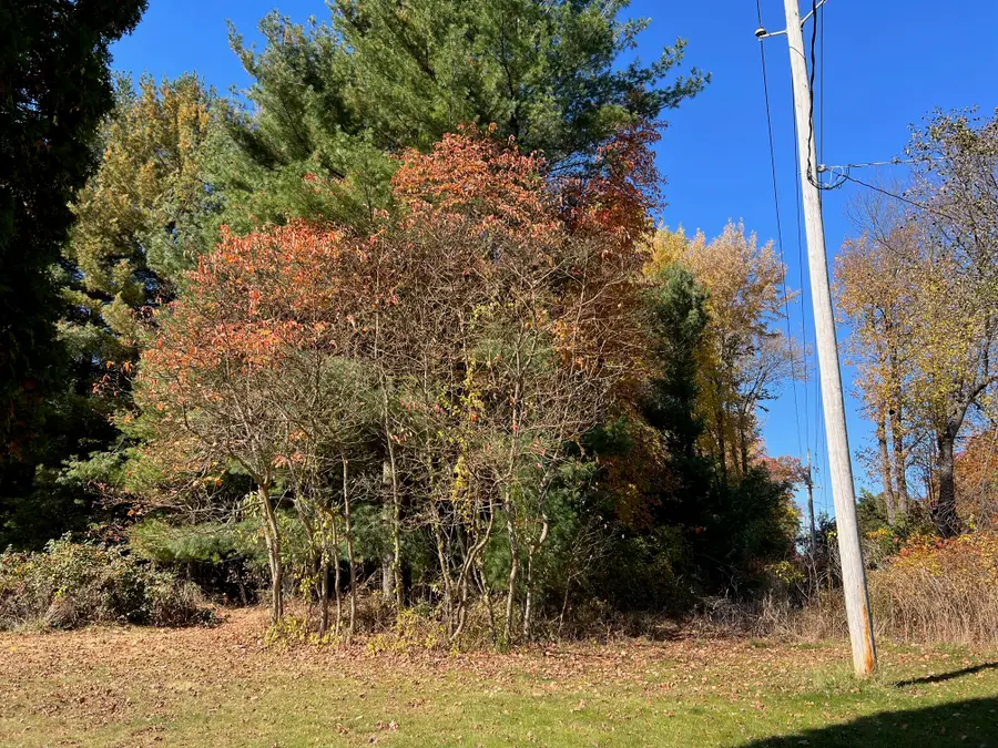 Clinton Road, Jackson, MI 49201 - #2