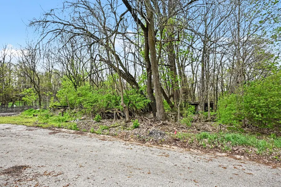 103 W Smith Street, Buchanan, MI 49107 - #3