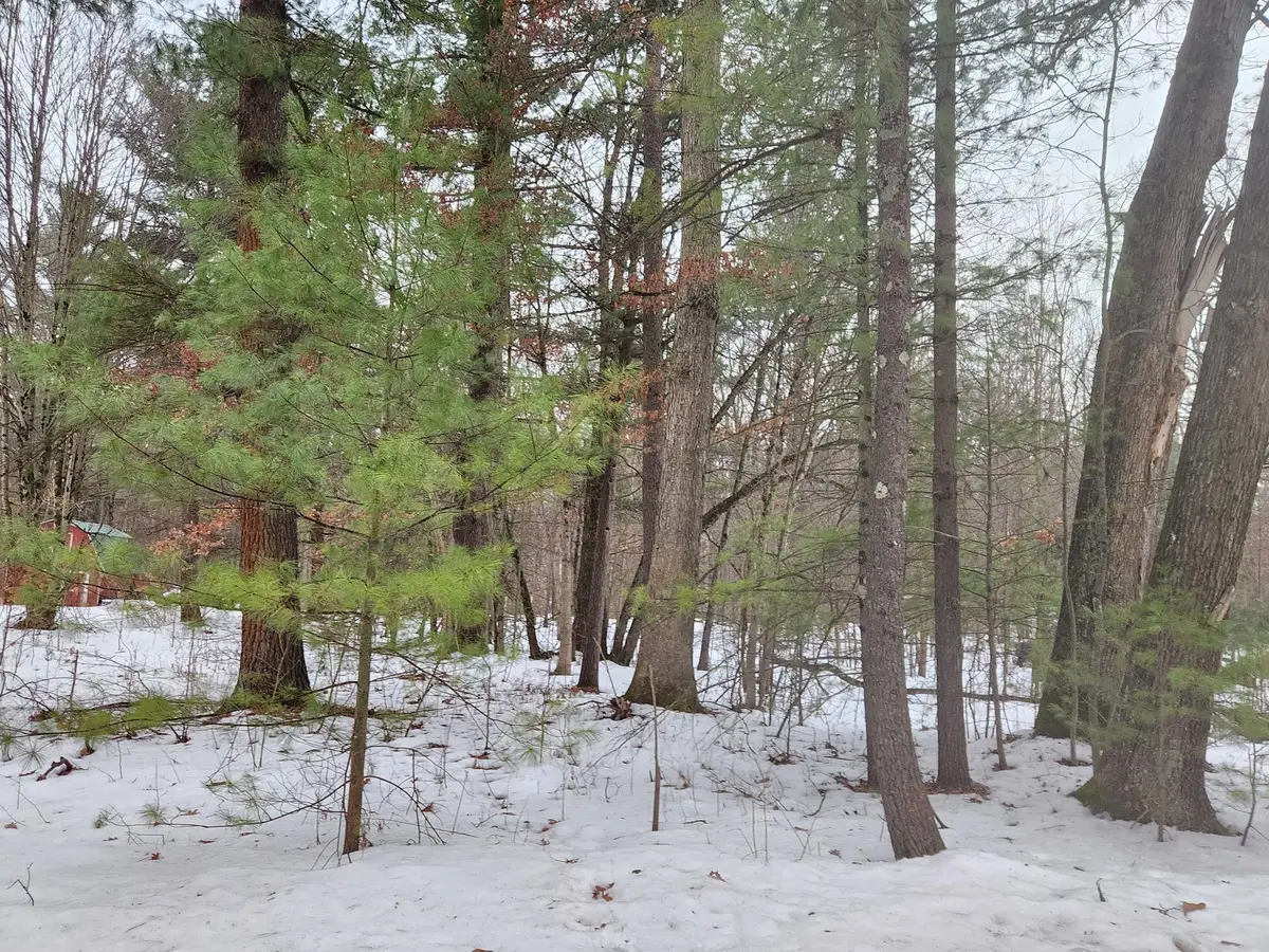 Crocker Road, Holton, MI 49425 - Image #1