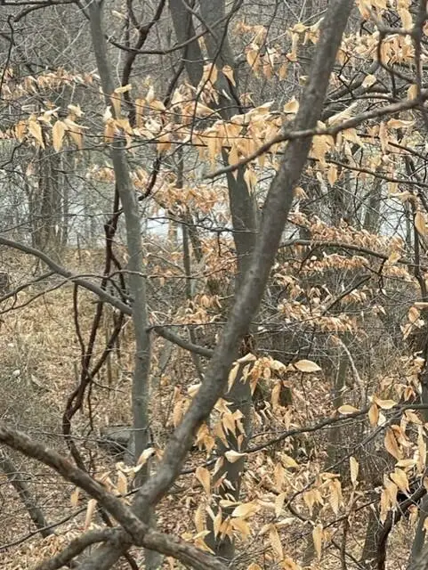#1