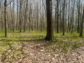 #2