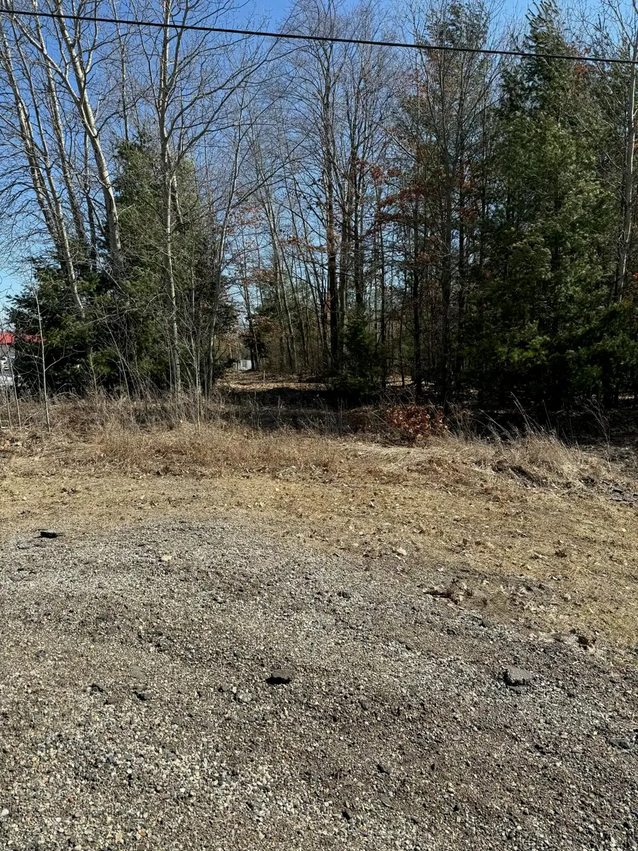 90th Ave, Mecosta, MI 49332 - #3