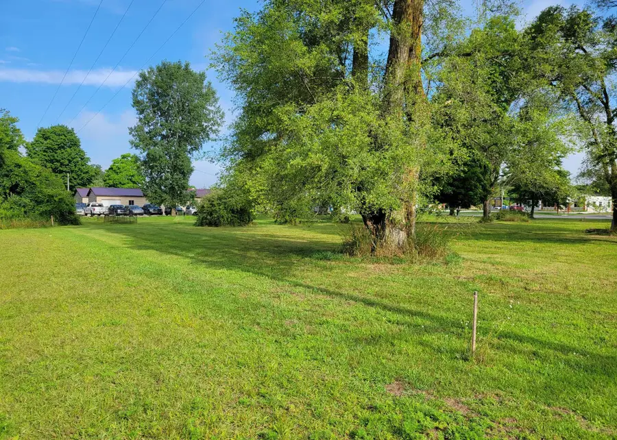 607 Shaw Street, Howard City, MI 49329 - #2