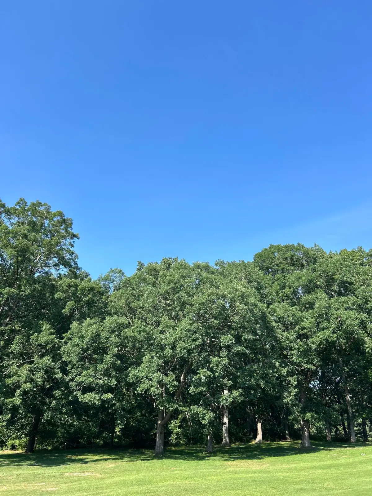 1 Lilac Lane, Grand Beach, MI 49117 - Image #1