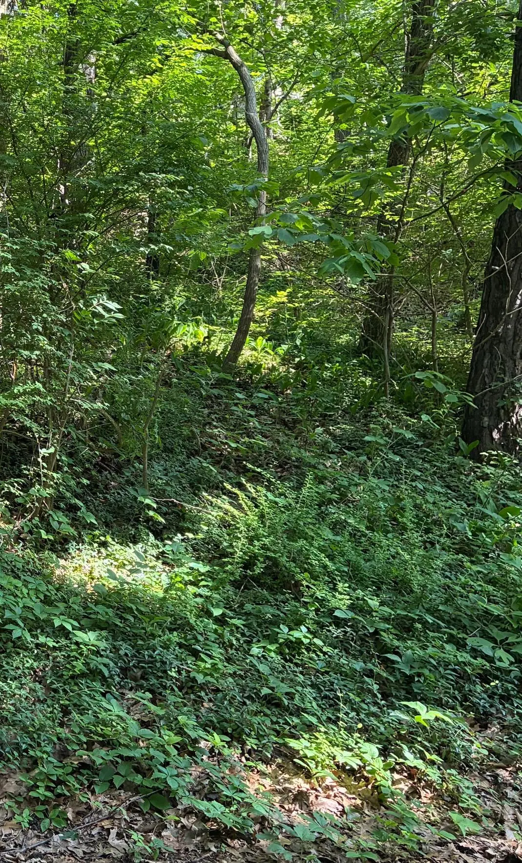 2 Lilac Lane, Grand Beach, MI 49117 - Image #1