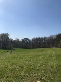 #3