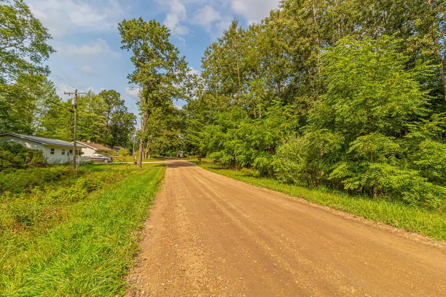 7574 9th Street, Canadian Lakes, MI 49346 - #3