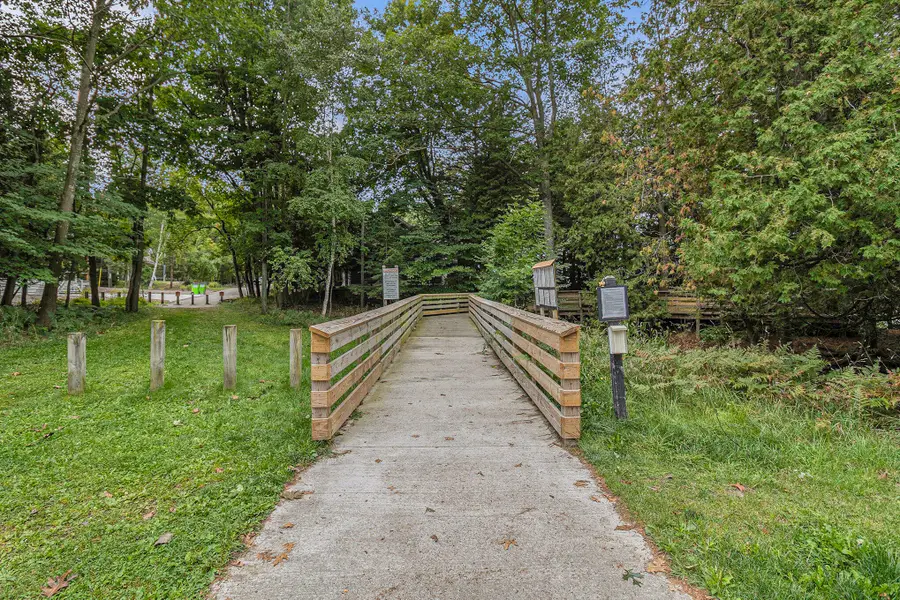 Lot 15 Pine Street, Mears, MI 49436 - #3