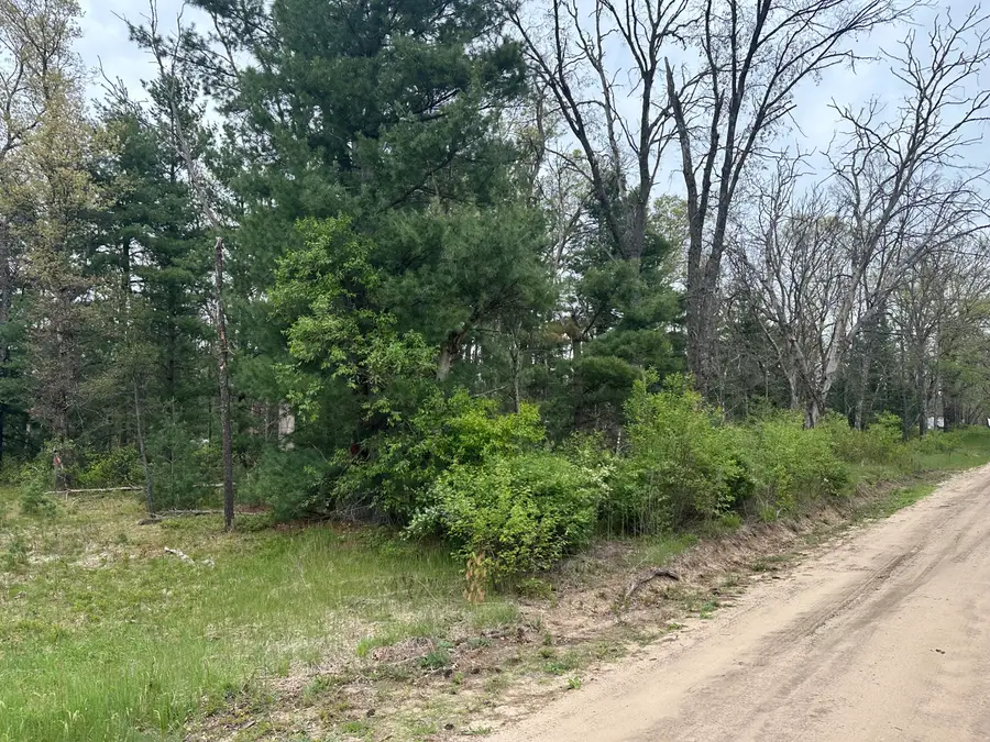 00 S Forman Road, Idlewild, MI 49642 - #3