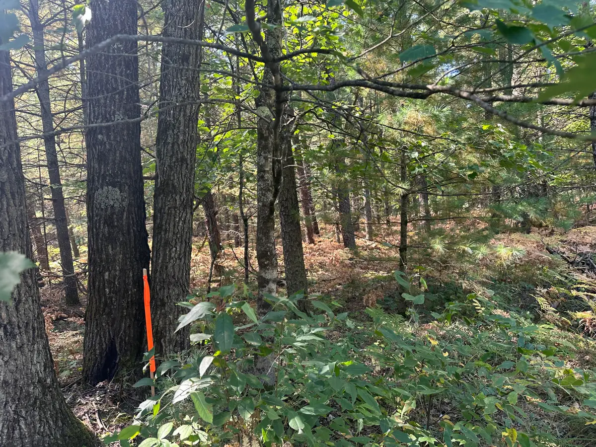 PAR D 16th Street, Baldwin, MI 49304 - #1