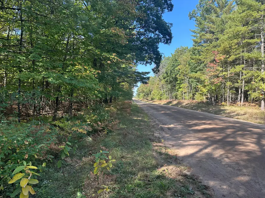 PAR D 16th Street, Baldwin, MI 49304 - #2