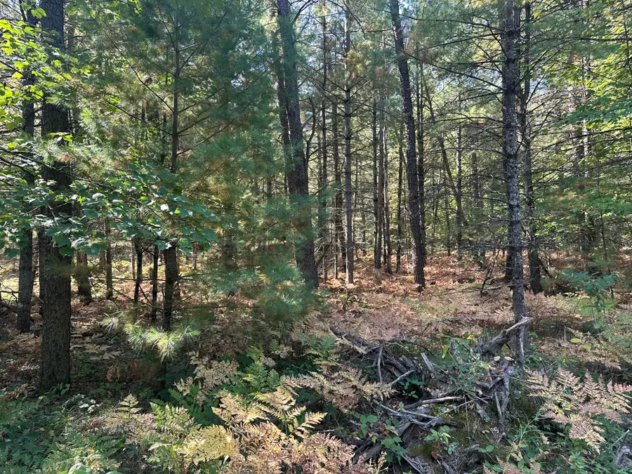 PAR D 16th Street, Baldwin, MI 49304 - #3