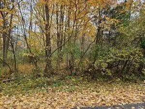 V/l Macbeth Avenue, South Haven, MI 49090 - #1