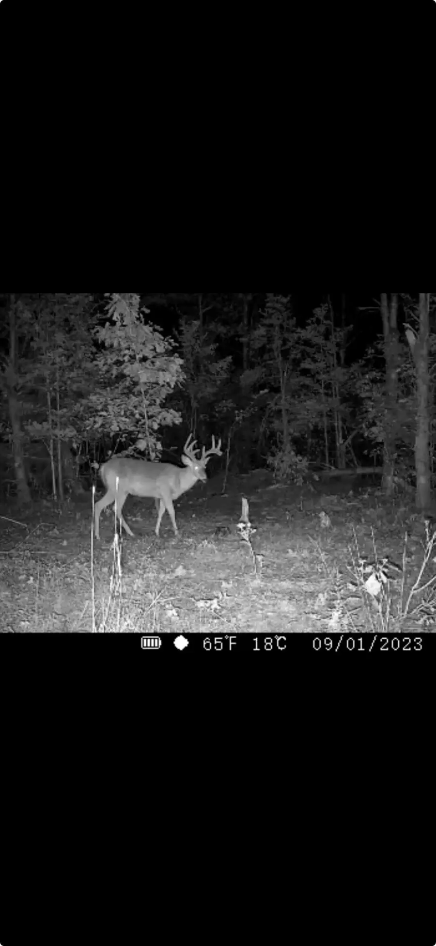 #3