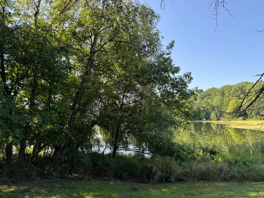 Vl - W Coral Road, Coral, MI 49322 - Image #3