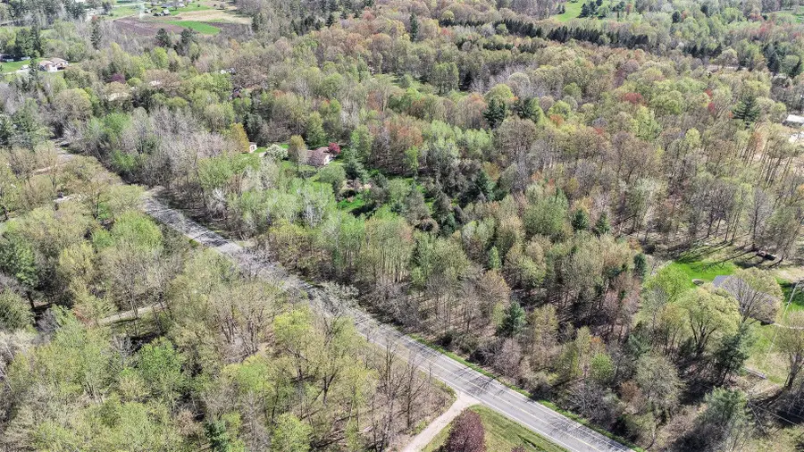 V/L Par 1 Algoma Avenue, Cedar Springs, MI 49319 - #3