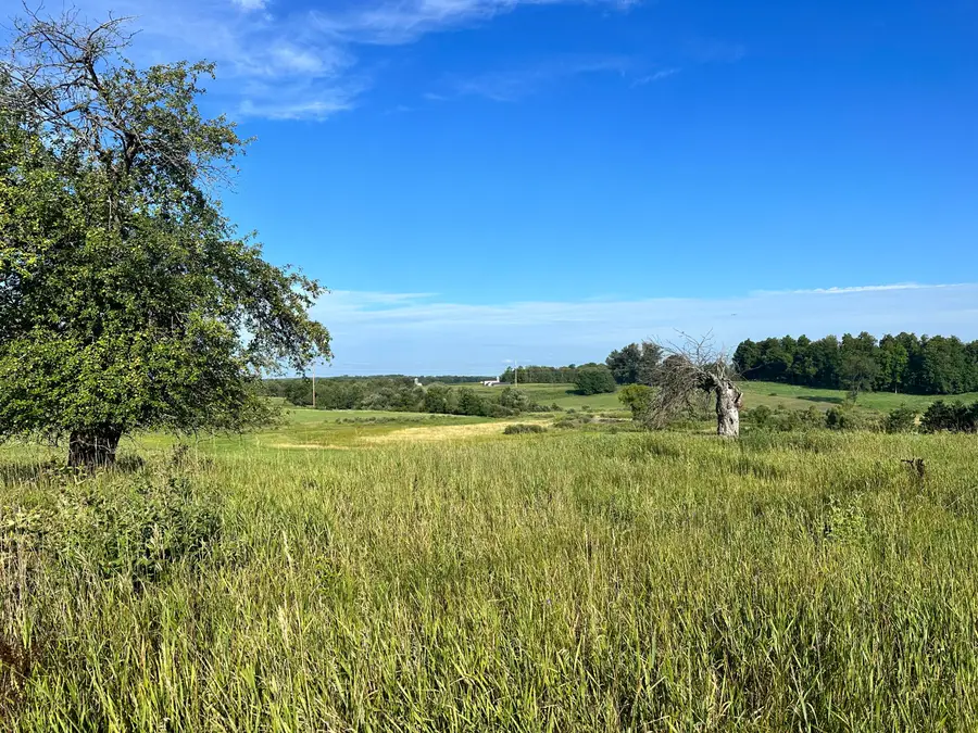 21575 150th Avenue, Big Rapids, MI 49307 - #2