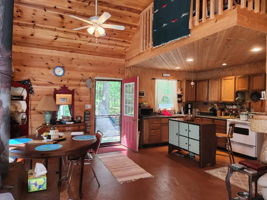 8456 W Fernwood Avenue, Baldwin, MI 49304 - Image #3