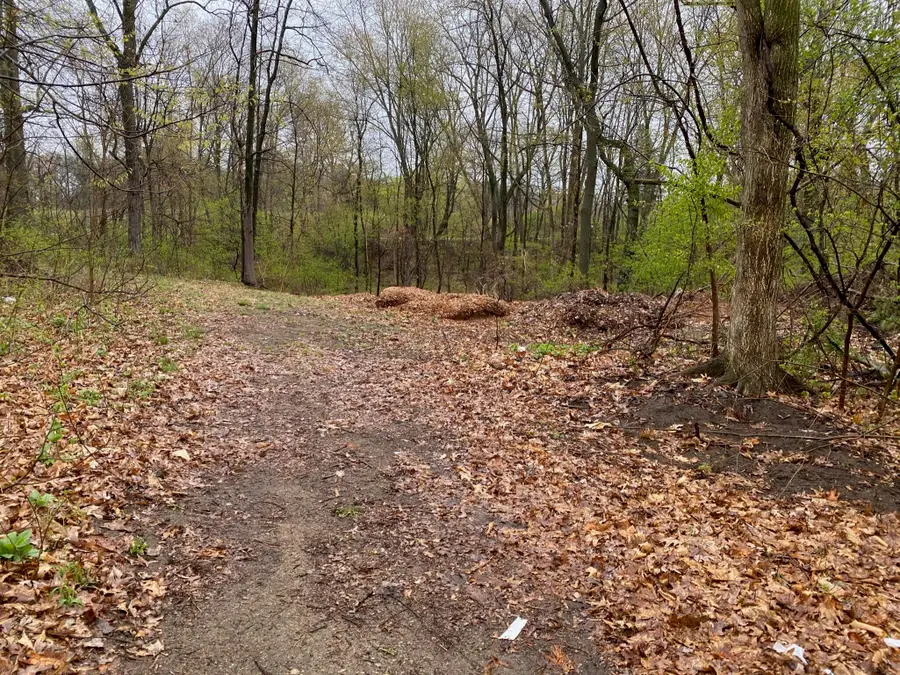 4546 W Dickman Road, Springfield, MI 49037 - #3