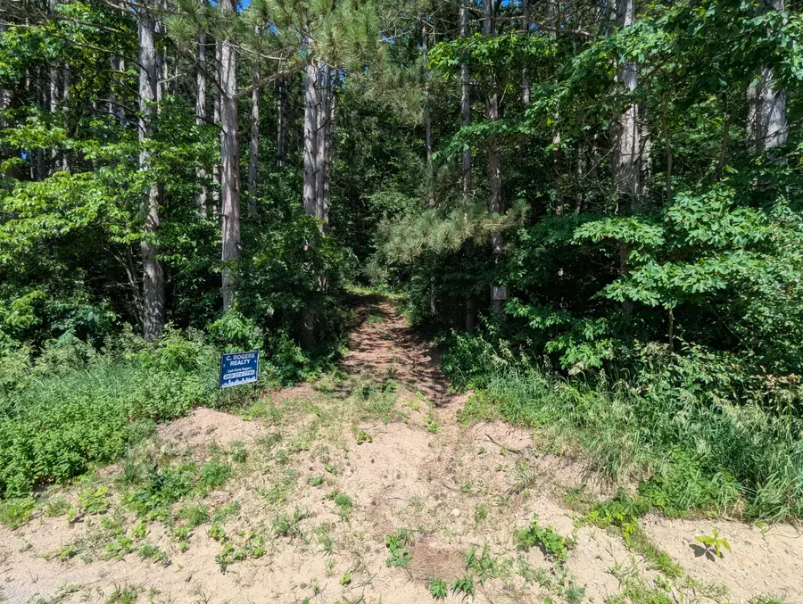 V/L North Avenue, Bellevue, MI 49021 - #2