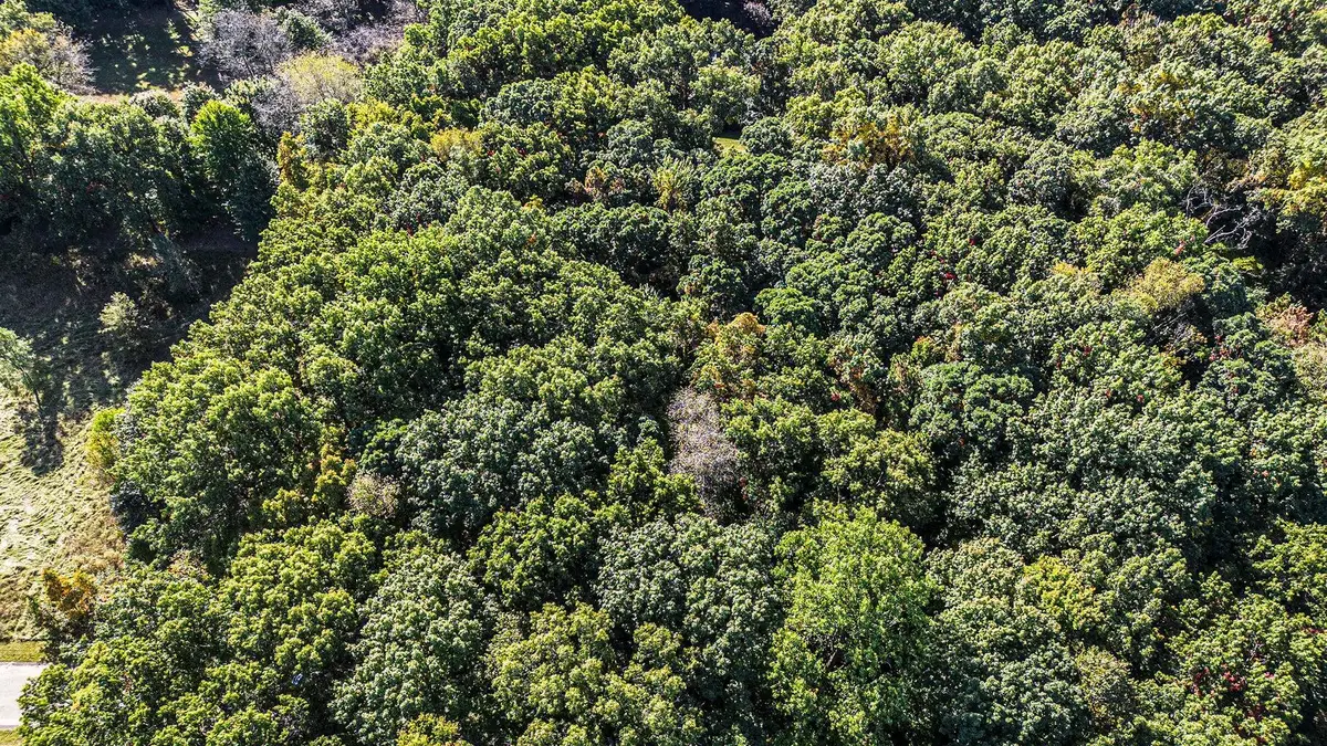 4520 Ross Drive, Benton Harbor, MI 49022 - #1