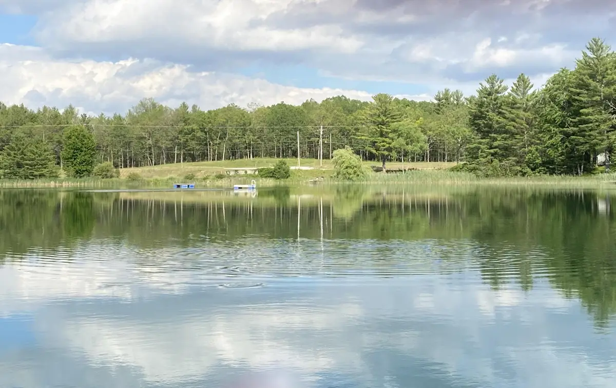 4953 M-37, Baldwin, MI 49304 - #1