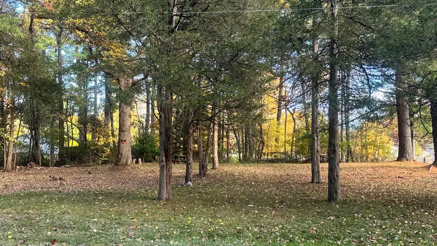 4036 S Cypress Avenue, Newaygo, MI 49337 - Image #2