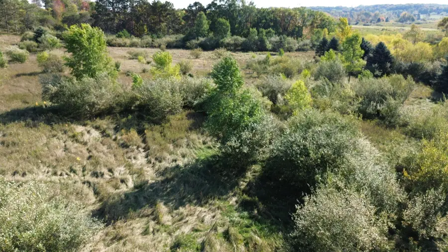 Lots 2 & 3 Fox Lane, Benzonia, MI 49616 - Image #2